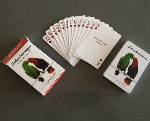 DESCUBRIS Rhetorik Kartenspiel Schnabelwetzen Set