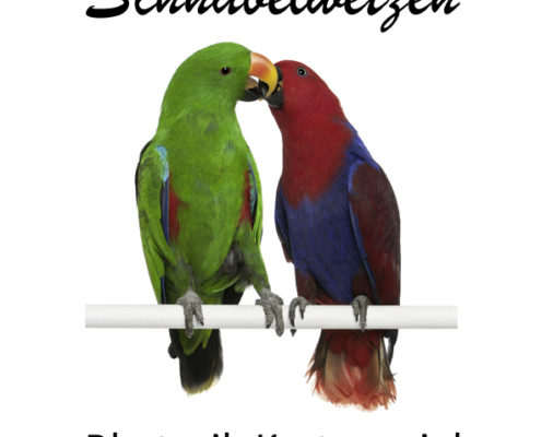Frontseite Kartenspiel Rhetorik Schnabelwetzen